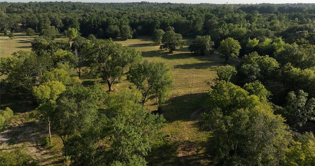 23017 Bailey Grove Rd, Montgomery TX, 77356 land for sale