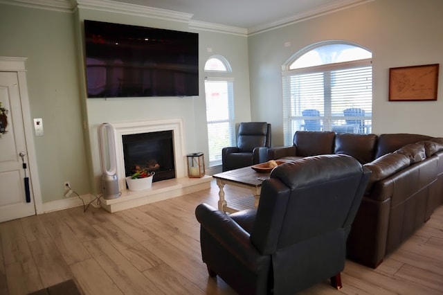 living room featuring light wood-type flooring, a healthy amount of sunlight, and crown molding