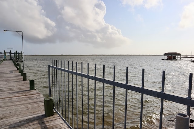 dock area with a water view