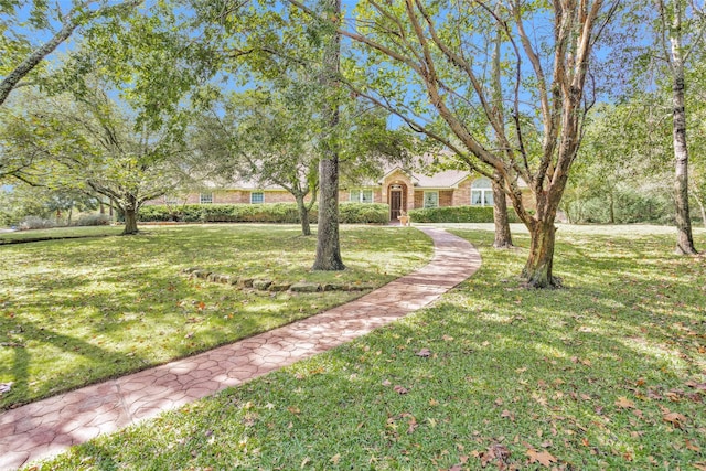 view of front of property featuring a front lawn and brick siding