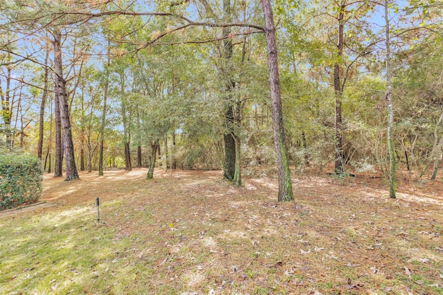 view of yard with a view of trees