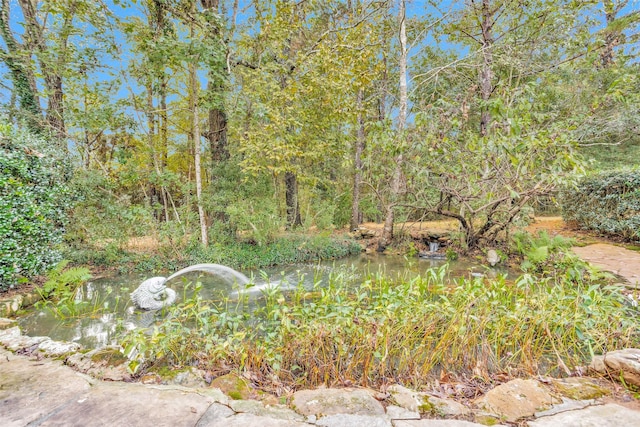 view of yard featuring a forest view