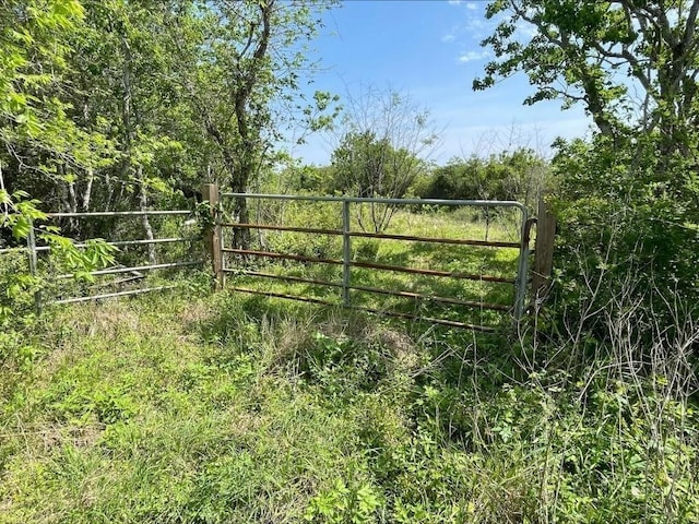 Listing photo 3 for 0 County Road 203, Danbury TX 77537