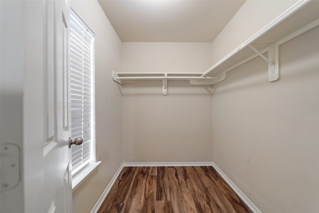 walk in closet with wood-type flooring