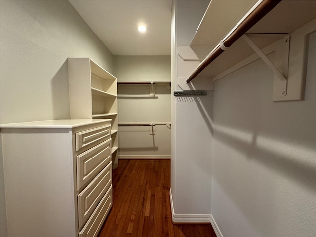 spacious closet with dark wood-type flooring