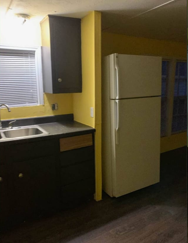 kitchen with dark hardwood / wood-style flooring, white fridge, and sink