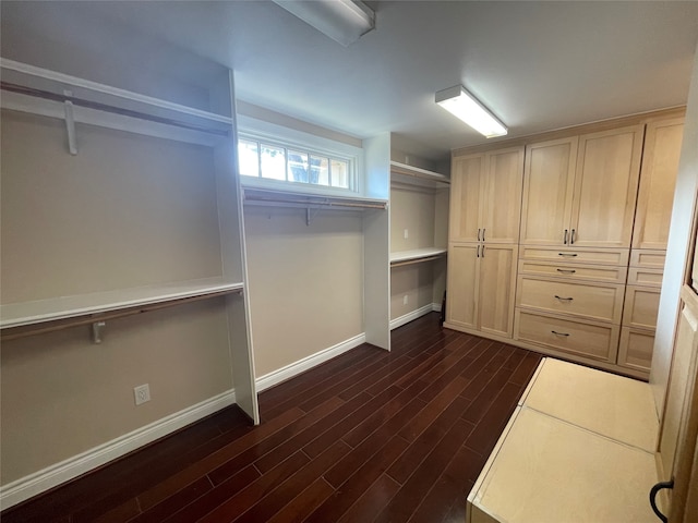 spacious closet featuring dark hardwood / wood-style floors