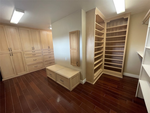 spacious closet featuring dark wood-type flooring