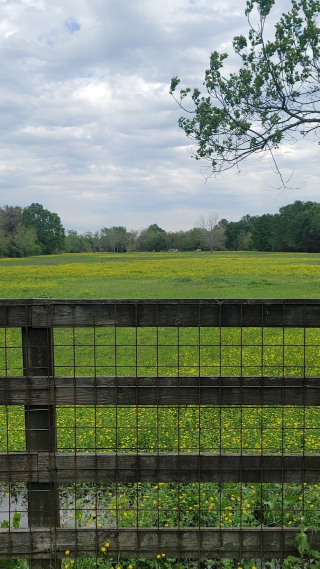 view of yard featuring a rural view