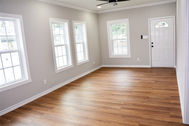 entryway with light wood-type flooring, plenty of natural light, ceiling fan, and crown molding