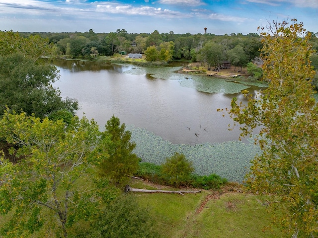 view of water feature with a wooded view