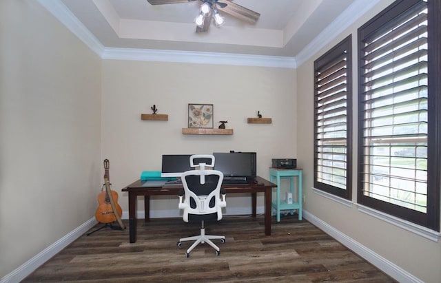 office area featuring a raised ceiling, ceiling fan, dark hardwood / wood-style flooring, and ornamental molding