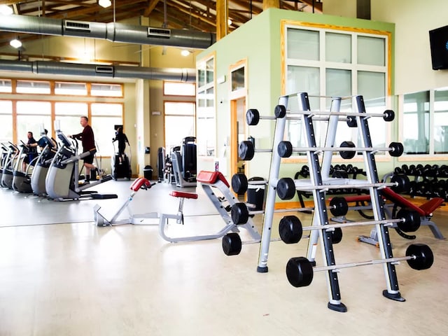 workout area featuring high vaulted ceiling and a healthy amount of sunlight