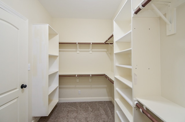 spacious closet with carpet floors