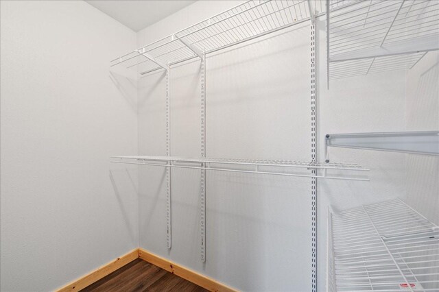 spacious closet featuring hardwood / wood-style floors