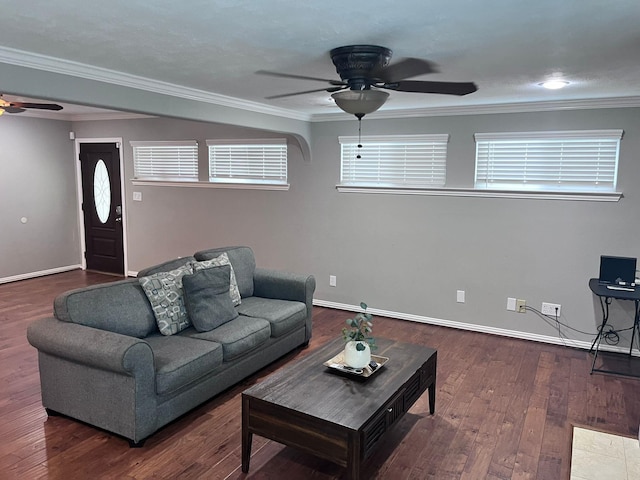 living room with ceiling fan, dark hardwood / wood-style floors, and crown molding