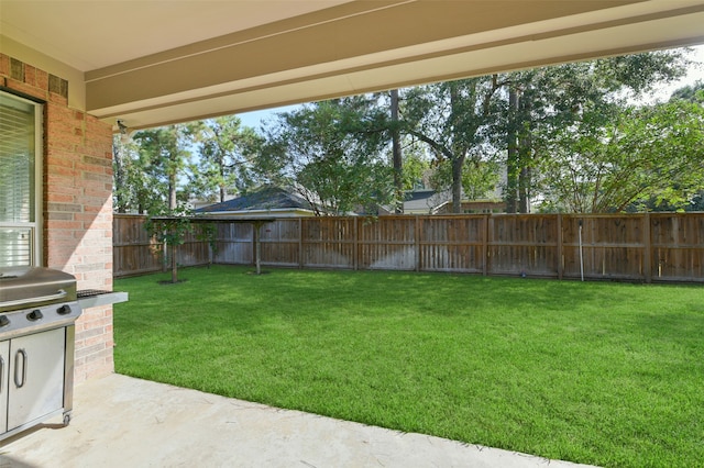 view of yard featuring a patio area