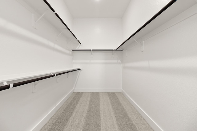 walk in closet featuring carpet