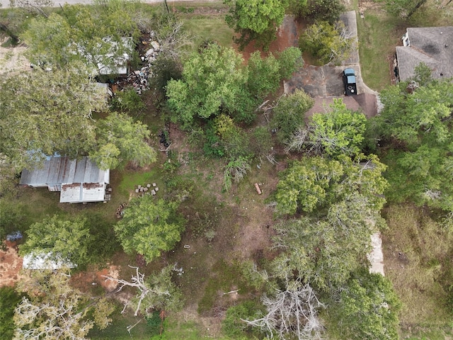 348 W Sherwood Dr, Livingston TX, 77351 land for sale