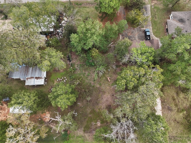 348 W Sherwood Dr, Livingston, TX 77351 - photo 1