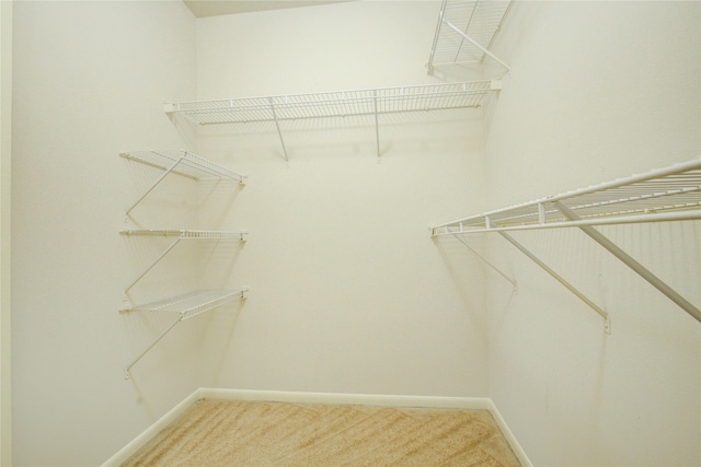 walk in closet with carpet flooring