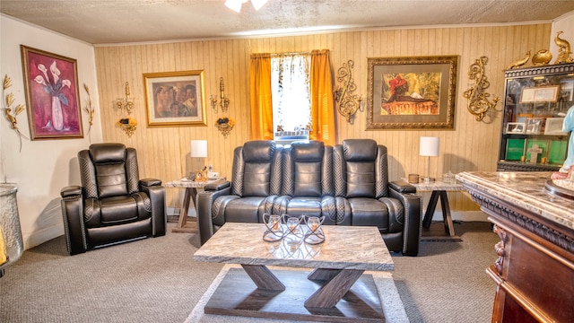 living room featuring a textured ceiling and carpet floors