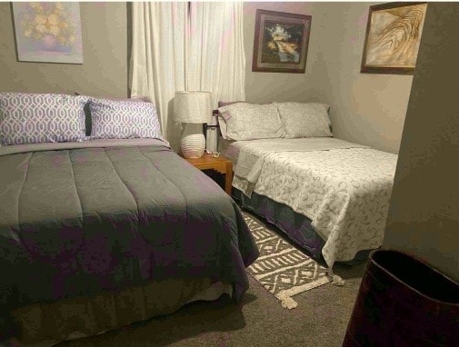 bedroom featuring carpet floors