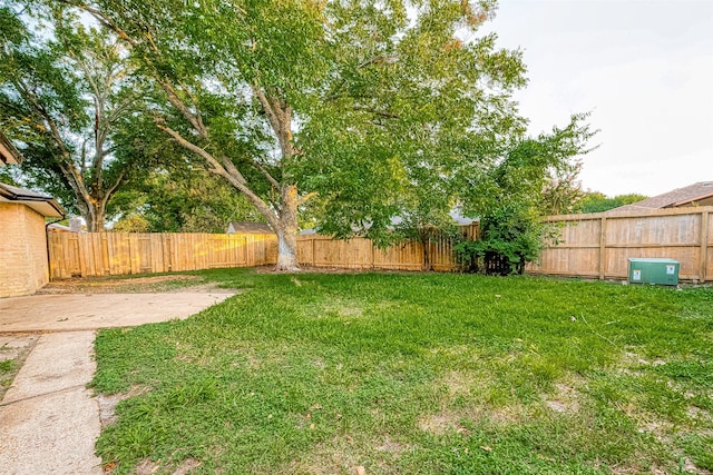 view of yard featuring a patio area