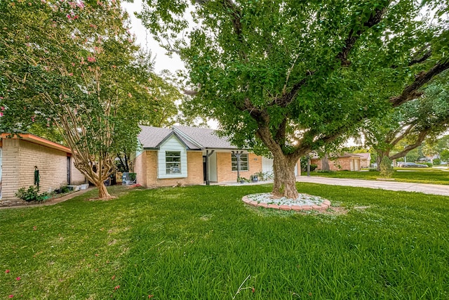 ranch-style house featuring a front yard