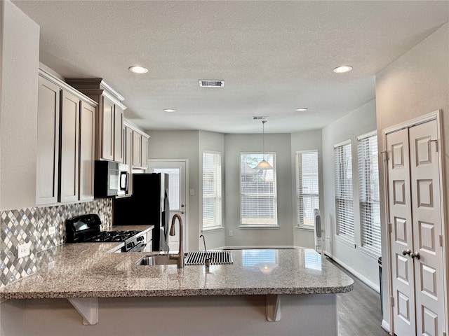 kitchen with kitchen peninsula, appliances with stainless steel finishes, and plenty of natural light