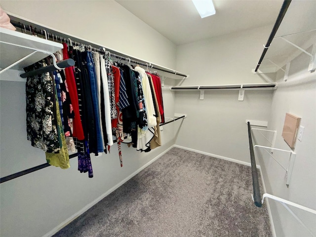 spacious closet with carpet floors