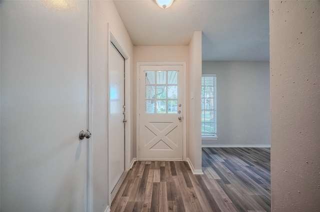 doorway to outside featuring dark wood-type flooring