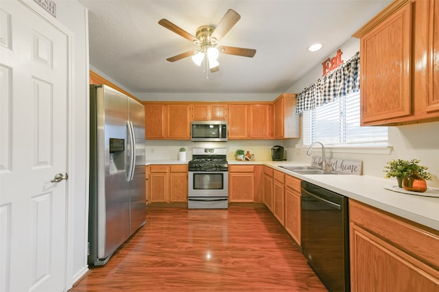 kitchen featuring ceiling fan, sink, dark hardwood / wood-style floors, and stainless steel appliances