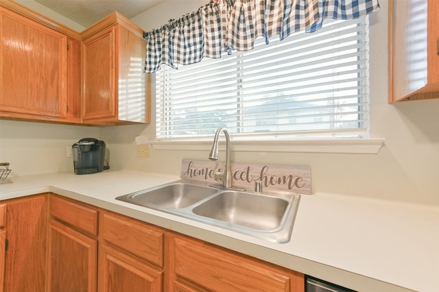 kitchen with sink