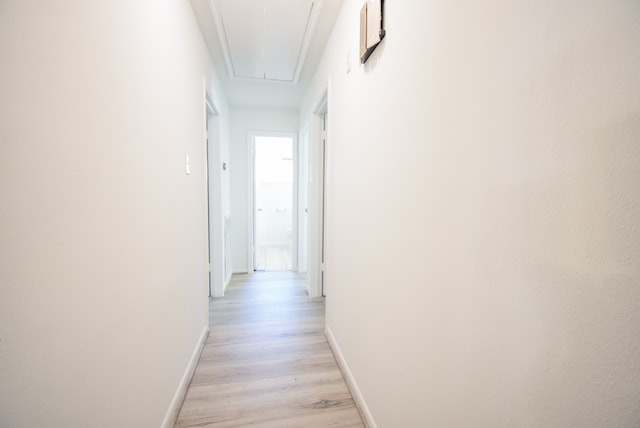 hallway featuring light hardwood / wood-style floors