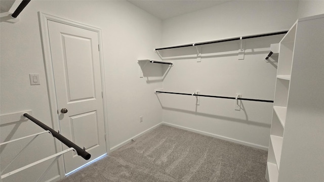 spacious closet featuring light colored carpet