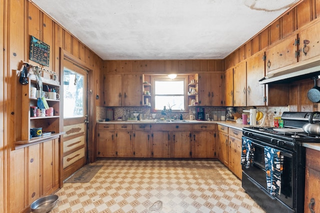 kitchen featuring wood walls, sink, tasteful backsplash, and gas stove