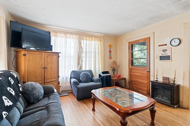 living room with light hardwood / wood-style flooring