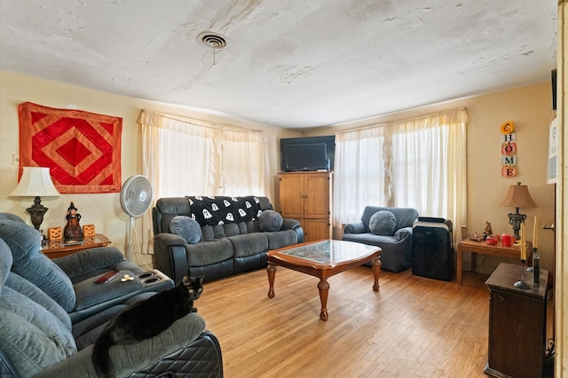 living room with light hardwood / wood-style flooring