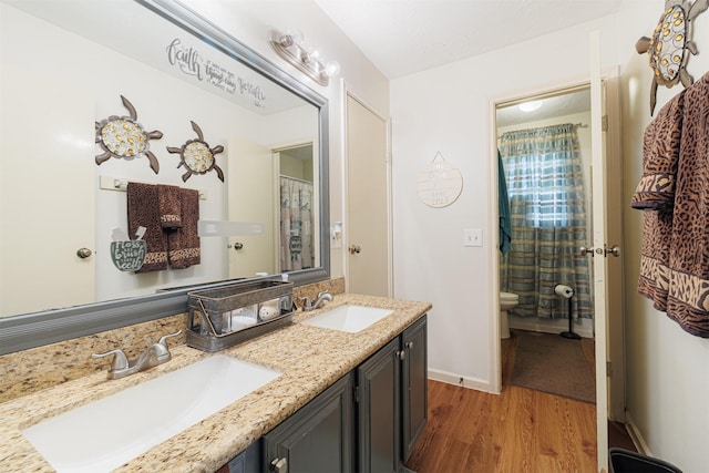 bathroom featuring wood-type flooring, vanity, and toilet