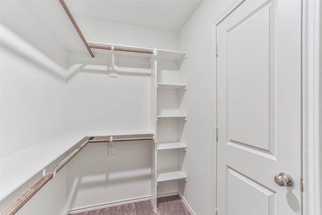 spacious closet with carpet flooring