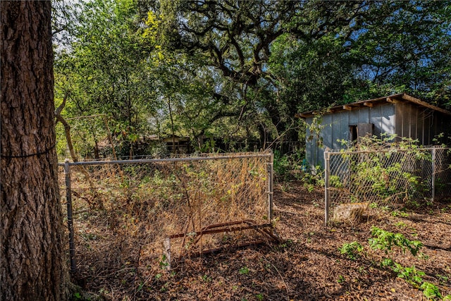 view of yard with a shed