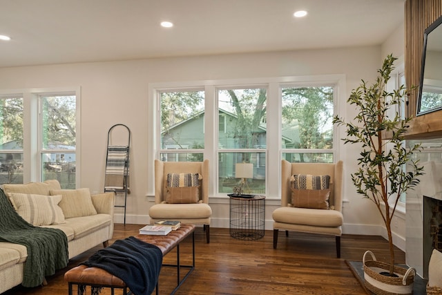 interior space featuring a wealth of natural light and dark hardwood / wood-style floors