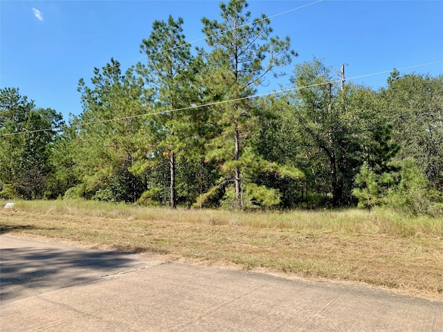 501 Big Buck Dr, Cleveland TX, 77328 land for sale