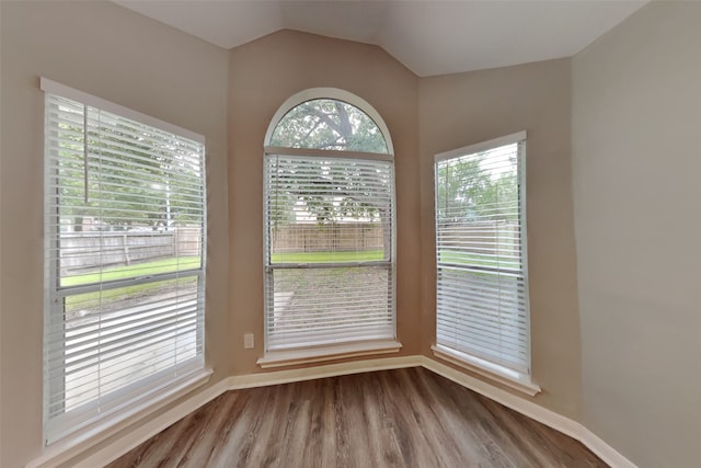 unfurnished dining area with hardwood / wood-style floors, a wealth of natural light, and lofted ceiling