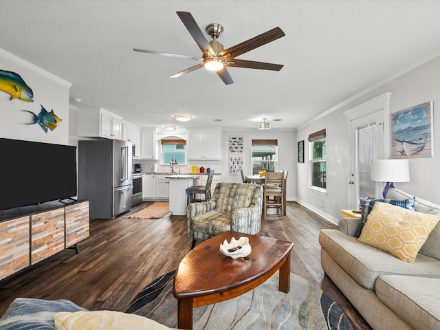 living room with ceiling fan, sink, ornamental molding, and dark wood-type flooring