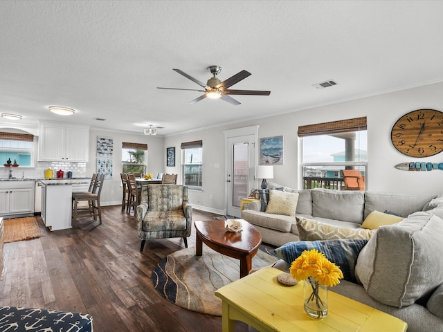 living room with ceiling fan, sink, dark wood-type flooring, crown molding, and a textured ceiling