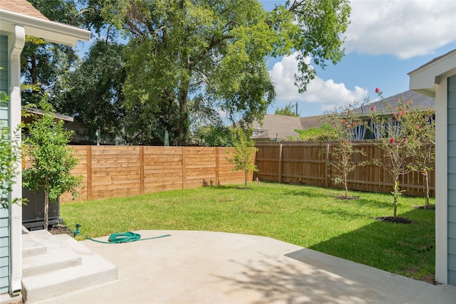 view of yard with a patio area