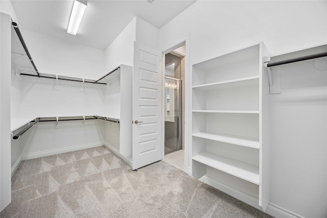 spacious closet with light carpet