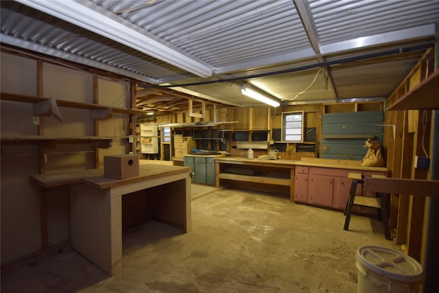 basement featuring a workshop area